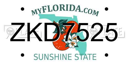 ZKD7525 Florida License Plate