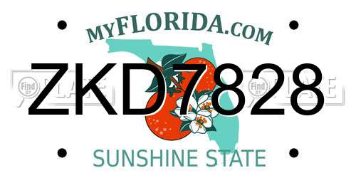 ZKD7828 Florida License Plate