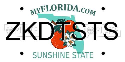 ZKDTSTS Florida License Plate