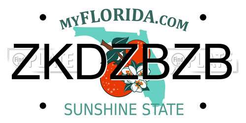 ZKDZBZB Florida License Plate