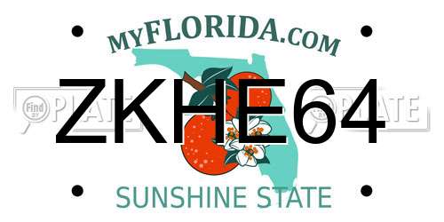 ZKHE64 Florida License Plate