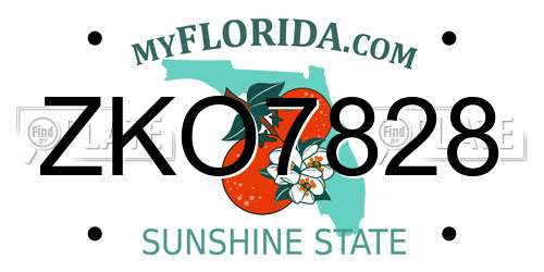 ZKO7828 Florida License Plate
