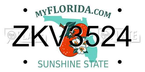 ZKV3524 Florida License Plate
