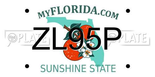 ZL95P Florida License Plate