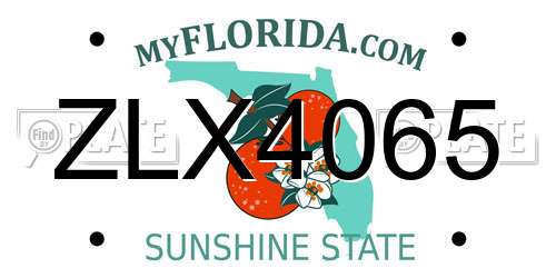 ZLX4065 Florida License Plate