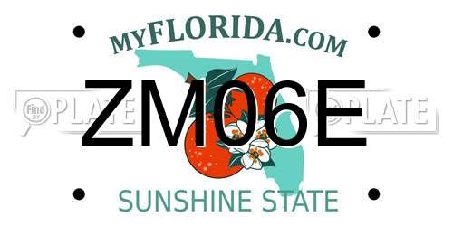 ZM06E Florida License Plate
