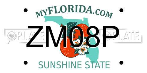 ZM08P Florida License Plate