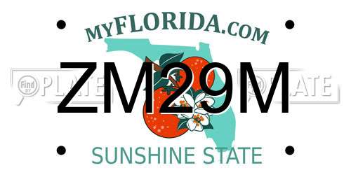 ZM29M Florida License Plate