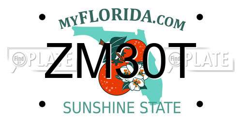 ZM30T Florida License Plate