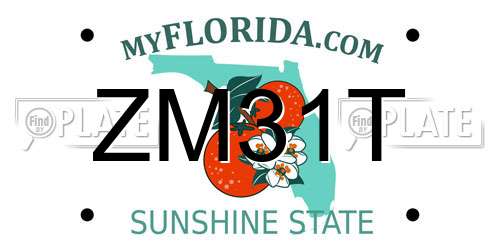 ZM31T Florida License Plate