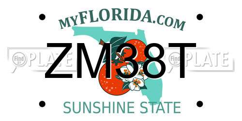 ZM38T Florida License Plate