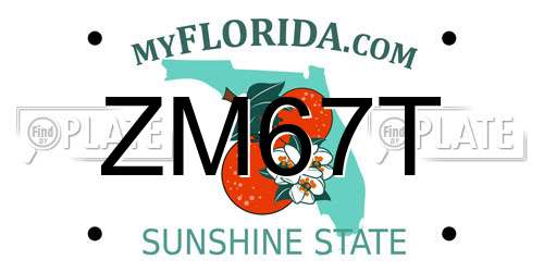 ZM67T Florida License Plate