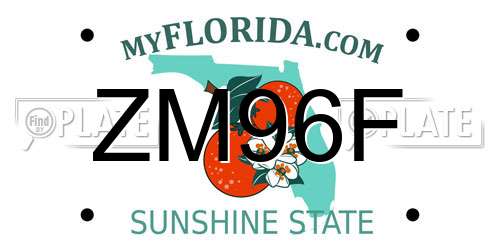 ZM96F Florida License Plate