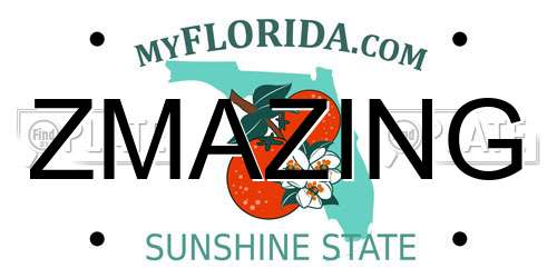 ZMAZING Florida License Plate