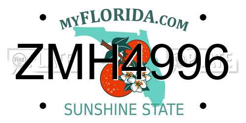 ZMH4996 Florida License Plate