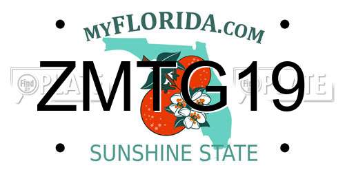 ZMTG19 Florida License Plate