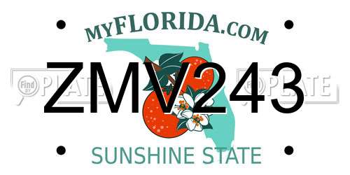 ZMV243 Florida License Plate
