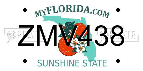 ZMV438 Florida License Plate
