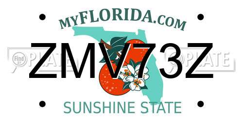 ZMV73Z Florida License Plate