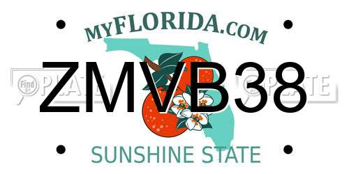 ZMVB38 Florida License Plate