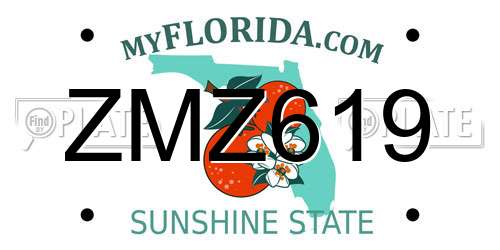 ZMZ619 Florida License Plate