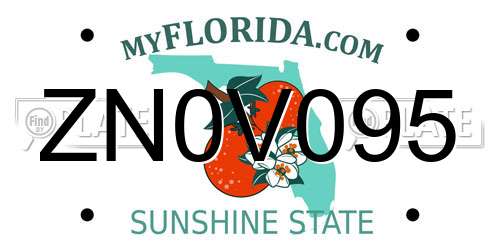 ZN0V095 Florida License Plate