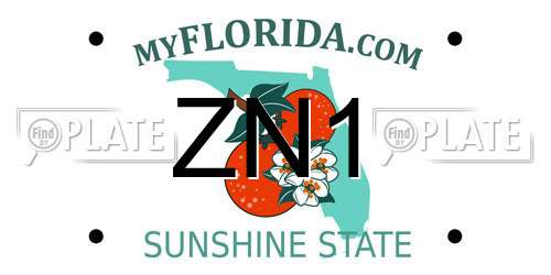 ZN1 Florida License Plate