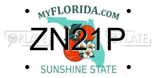 ZN21P Florida License Plate