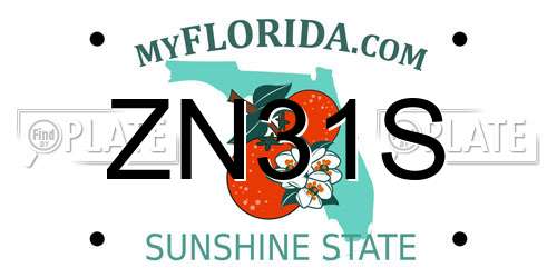 ZN31S Florida License Plate