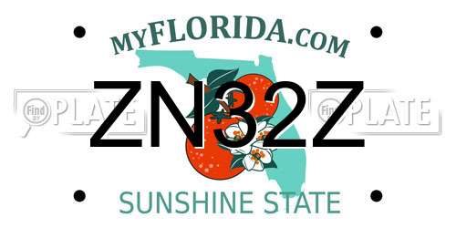 ZN32Z Florida License Plate