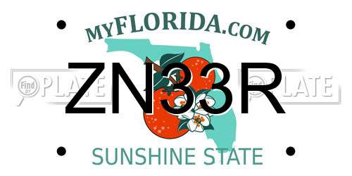 ZN33R Florida License Plate