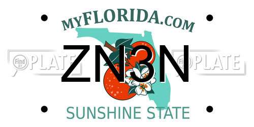 ZN3N Florida License Plate