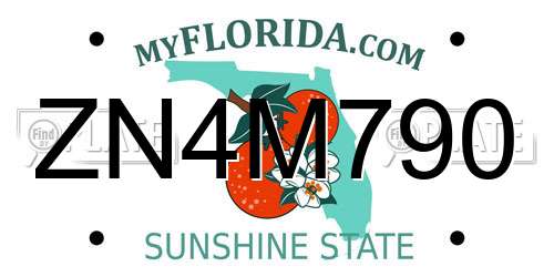 ZN4M790 Florida License Plate