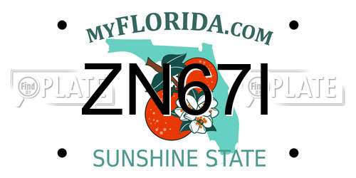 ZN67I Florida License Plate