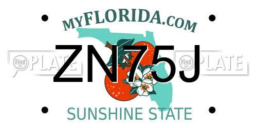 ZN75J Florida License Plate