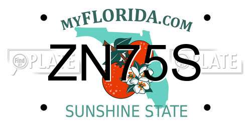 ZN75S Florida License Plate