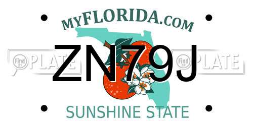 ZN79J Florida License Plate