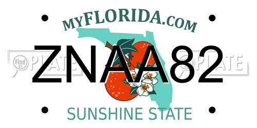 ZNAA82 Florida License Plate