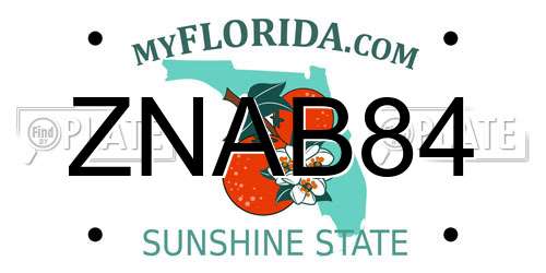 ZNAB84 Florida License Plate