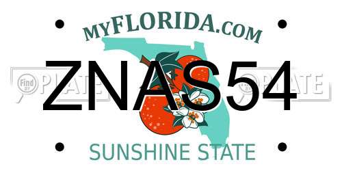 ZNAS54 Florida License Plate
