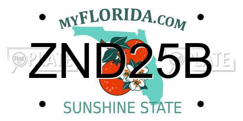 ZND25B Florida License Plate