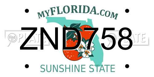 ZND758 Florida License Plate