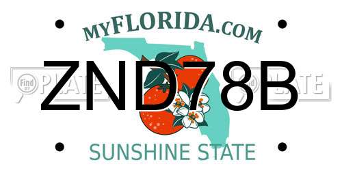 ZND78B Florida License Plate