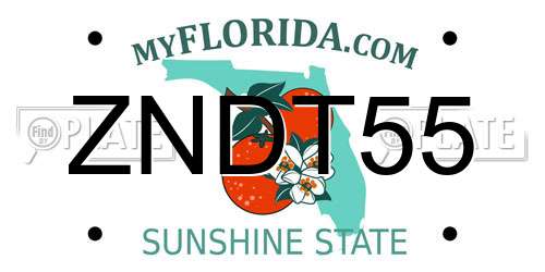ZNDT55 Florida License Plate