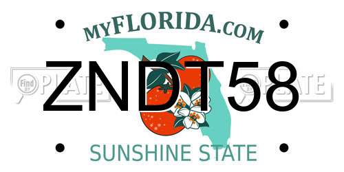ZNDT58 Florida License Plate