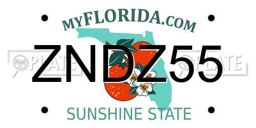 ZNDZ55 Florida License Plate
