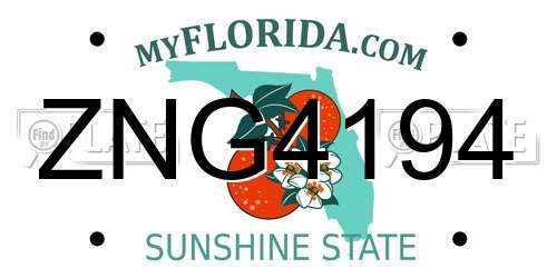 ZNG4194 Florida License Plate