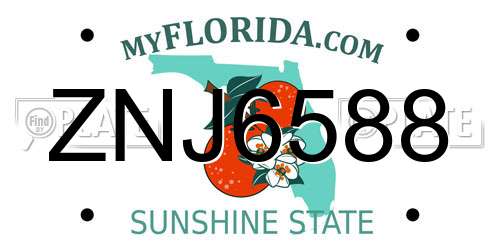 ZNJ6588 Florida License Plate
