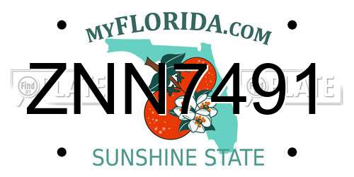 ZNN7491 Florida License Plate