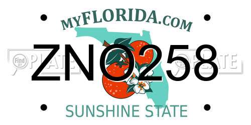 ZNO258 Florida License Plate